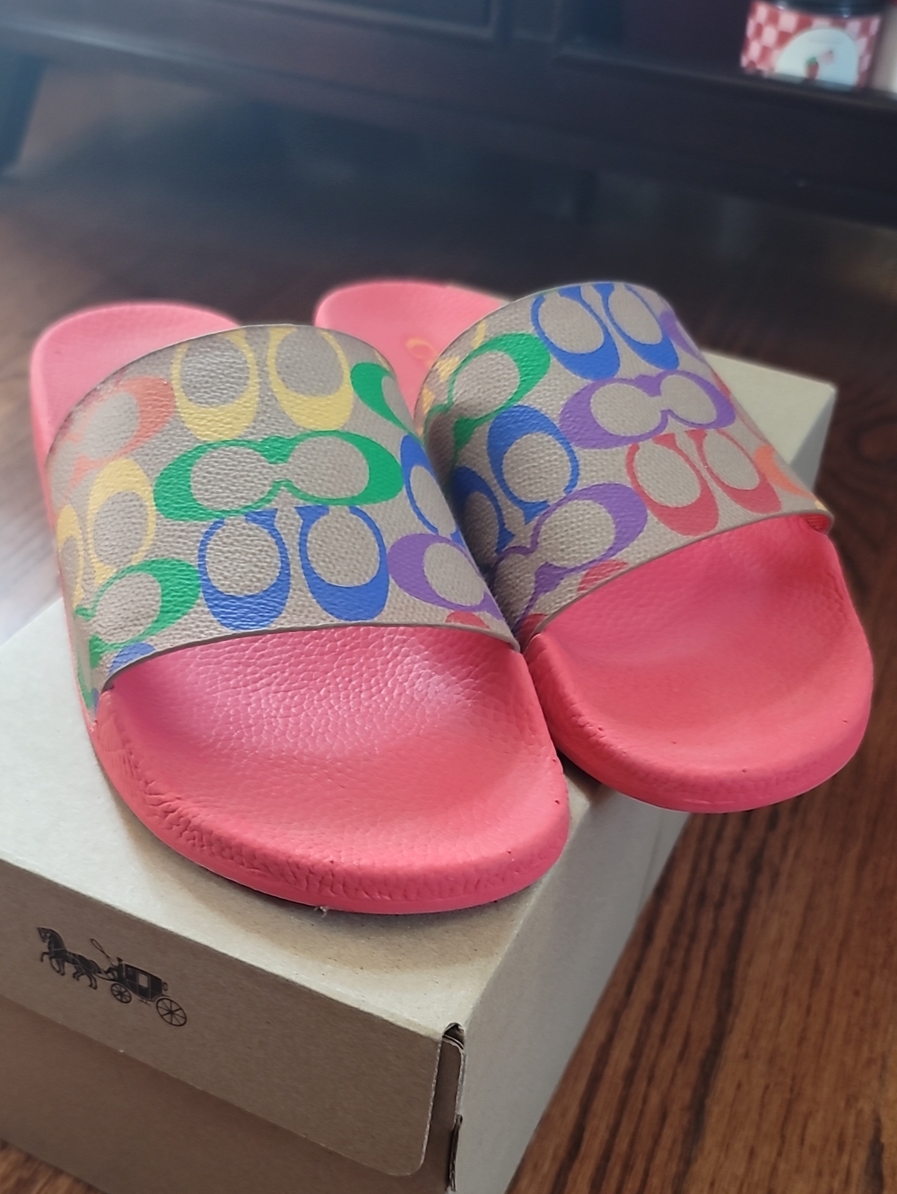 Coach Women's Rainbow Signature Slide Sandals
